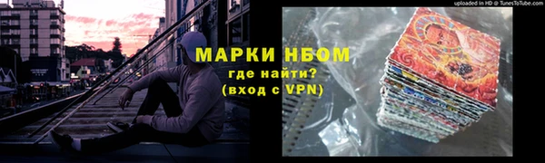прущие грибы Баксан