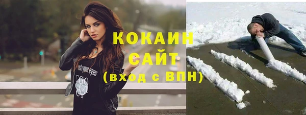 прущие грибы Баксан