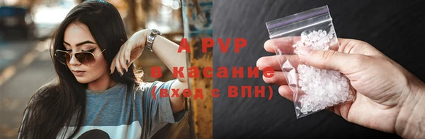 прущие грибы Баксан