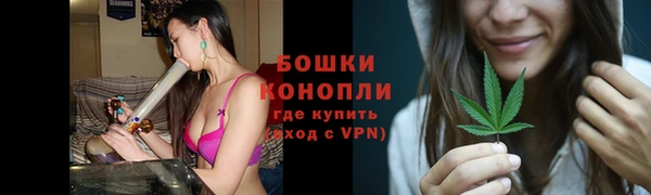 прущие грибы Баксан