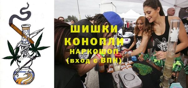 прущие грибы Баксан